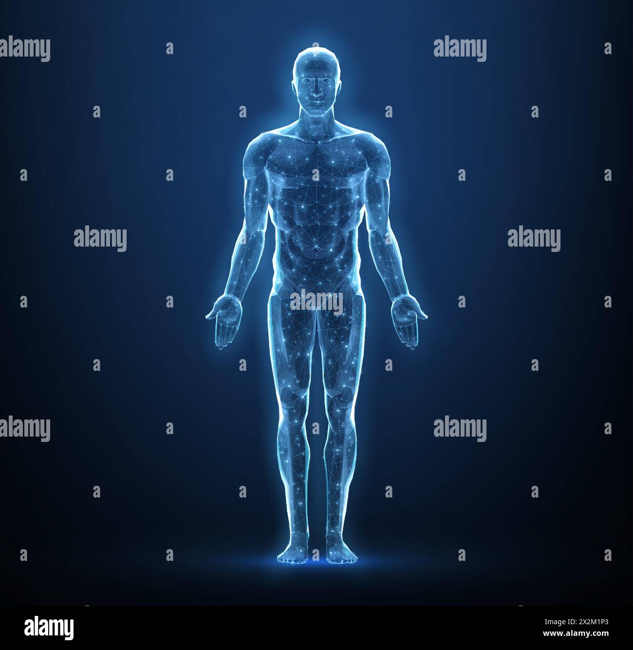 Corps humain. Vecteur abstrait. Anatomie numérique, technologie médicale, structure musculaire. Illustration de Vecteur