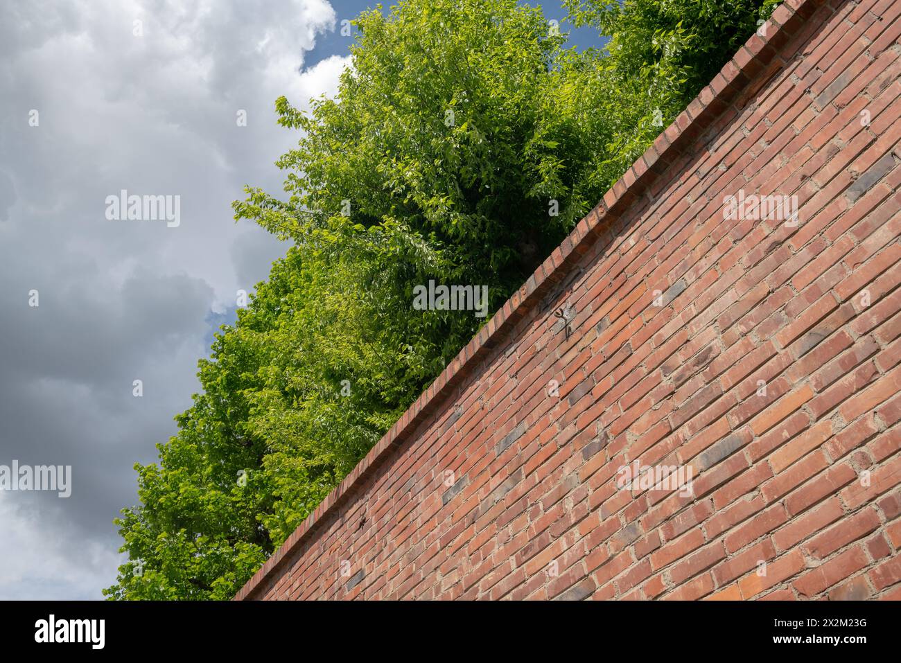 mur de frontière avec parc et plantes derrière, jardin secret. frontières et murs avec espace au-delà duquel une zone verte peut être aperçue. Banque D'Images