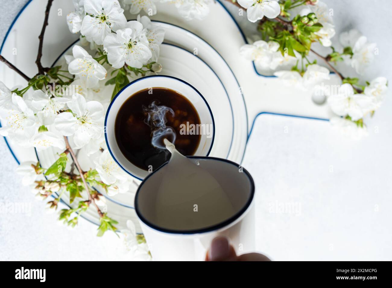 Crème versée dans une tasse de café, entourée de fleurs de cerisier blanc Banque D'Images