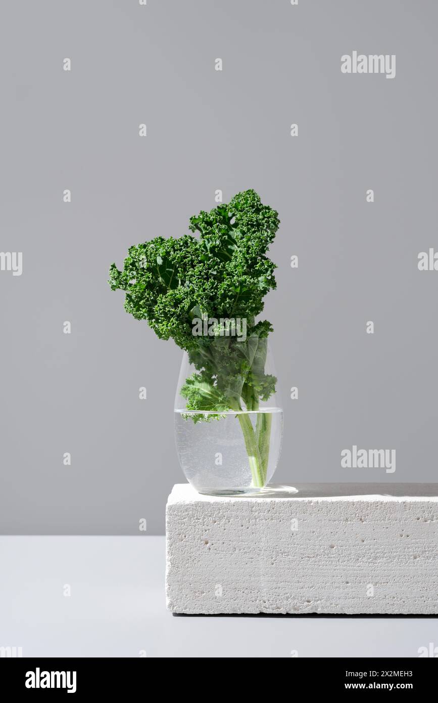 Une composition minimaliste avec des feuilles de chou frisé vert frais dans un verre d'eau claire, sertie sur un bloc blanc sur un fond gris clair Banque D'Images