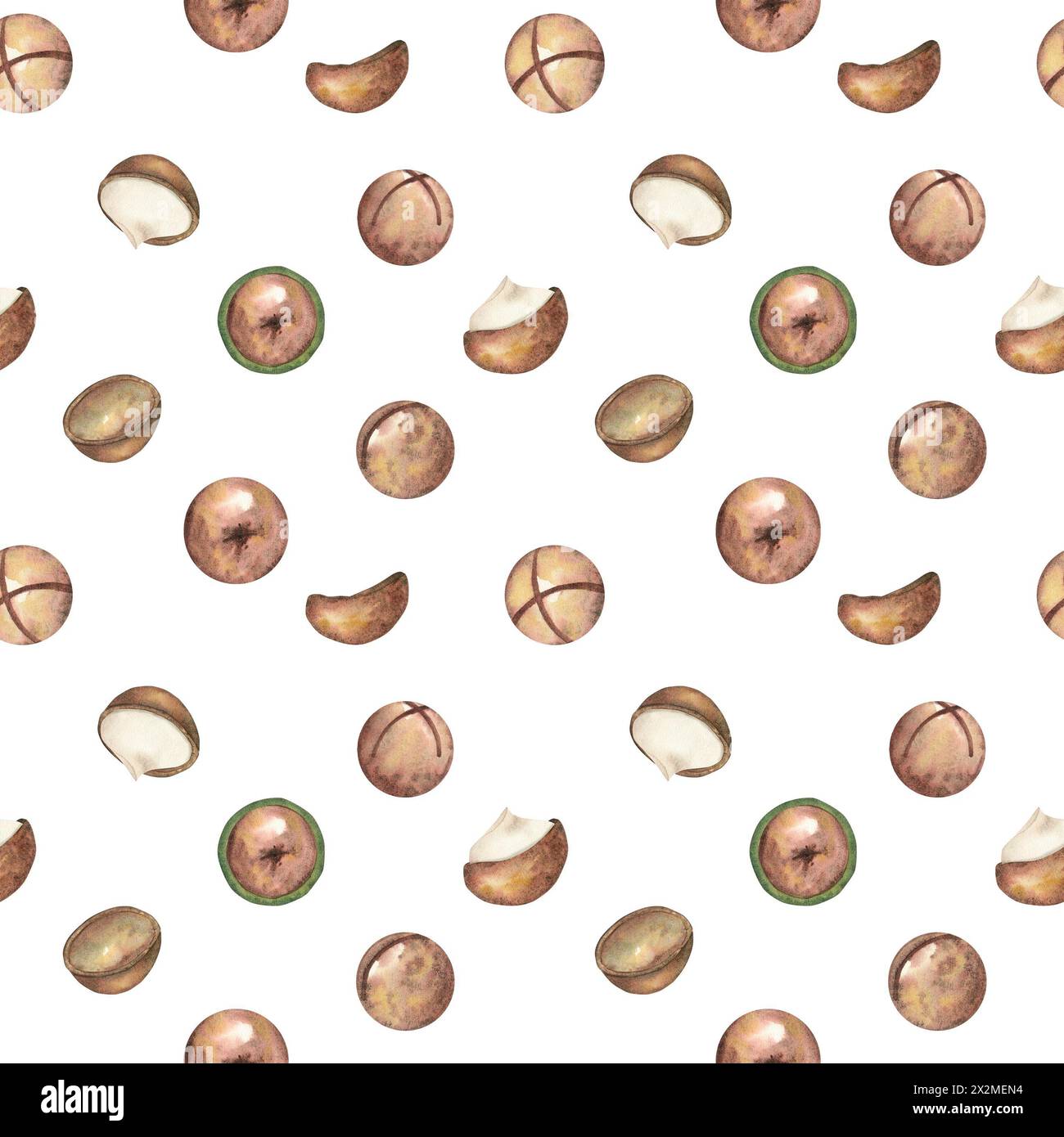 Motif de noix de macadamia sans couture sur un fond blanc. Le macadamia. Nourriture, collation, gros plan sur les noix brunes. Illustration aquarelle, clipart. Textiles, Banque D'Images