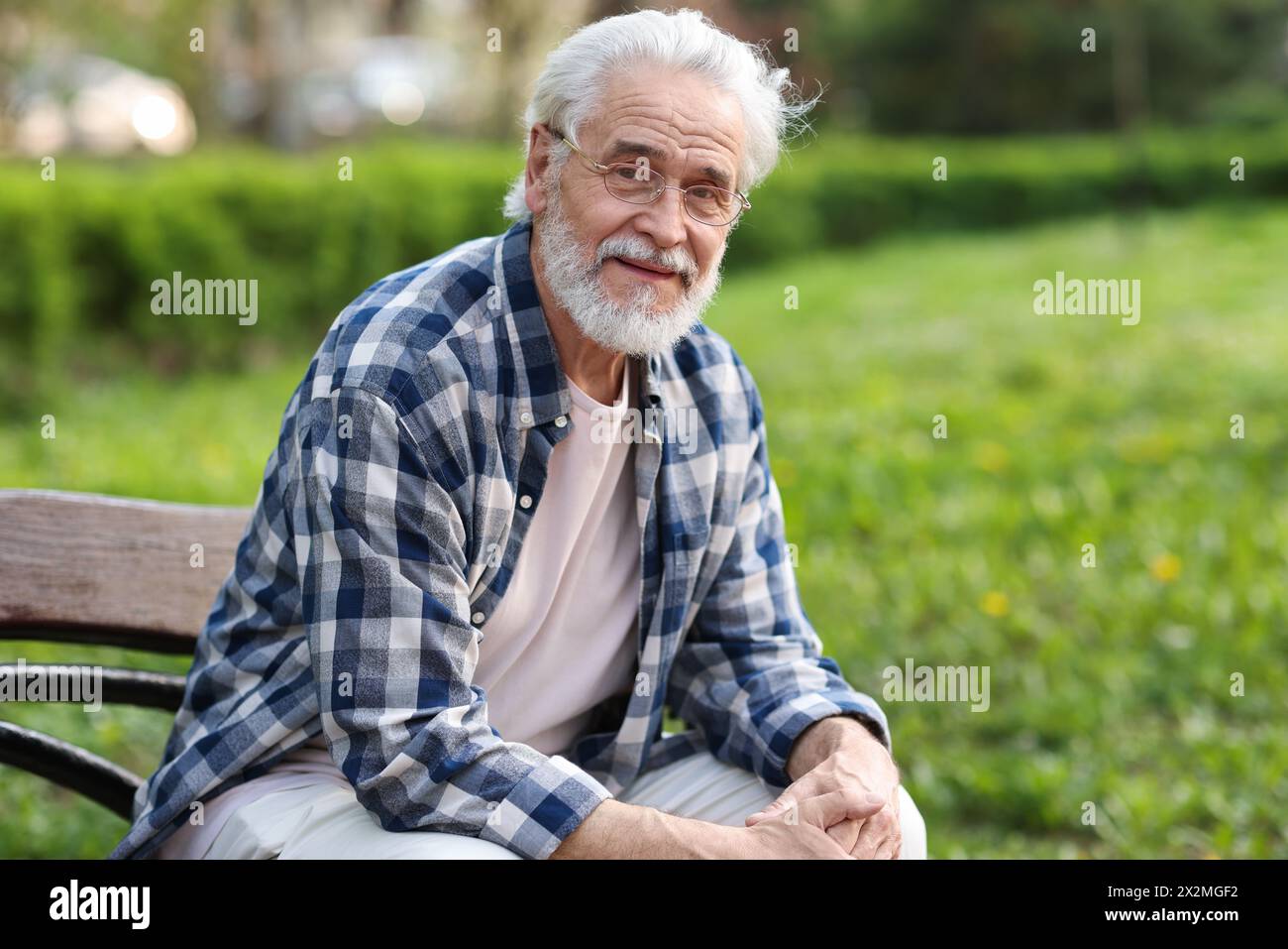 Portrait de grand-père heureux avec des lunettes sur le banc dans le parc Banque D'Images