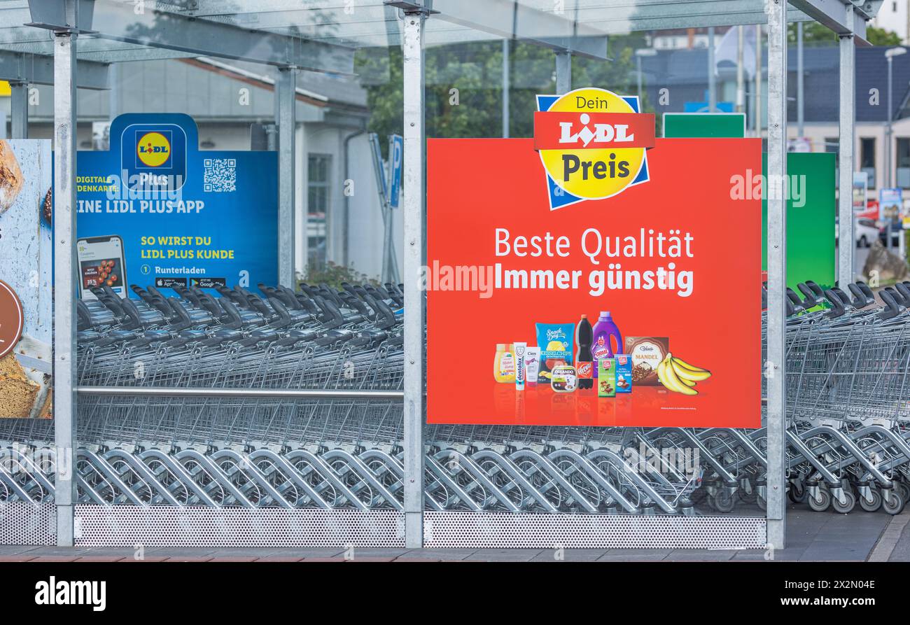 Einkaufswagen des Discounter Lidl. (Gaillingen am Hochrein, Allemagne, 06.06.2022) Banque D'Images
