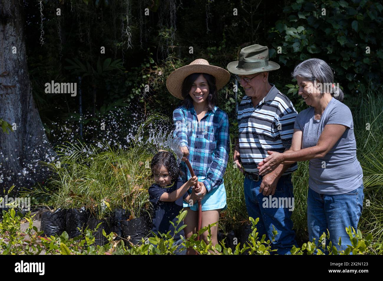 Jardinage avec des enfants. Les grands-parents avec leur fille et leur petit-fils latino-américain arrosent leur jardin. Hobbies et loisirs, style de vie, famille Banque D'Images