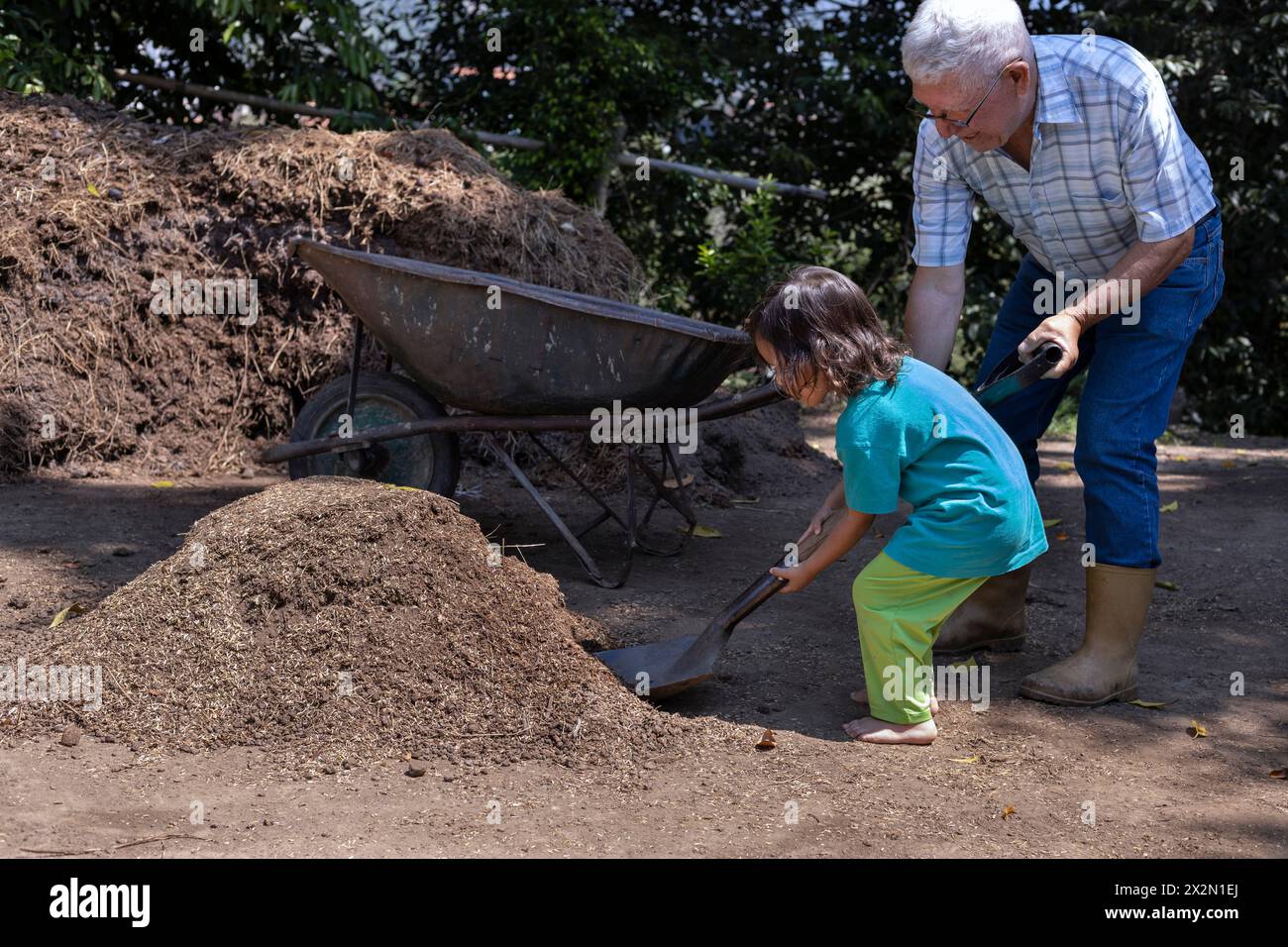 Jardinage avec des enfants. Grand-père et son petit-fils latino-américain chargent une brouette de terre pour travailler dans leur jardin. Hobbies et loisirs, l Banque D'Images