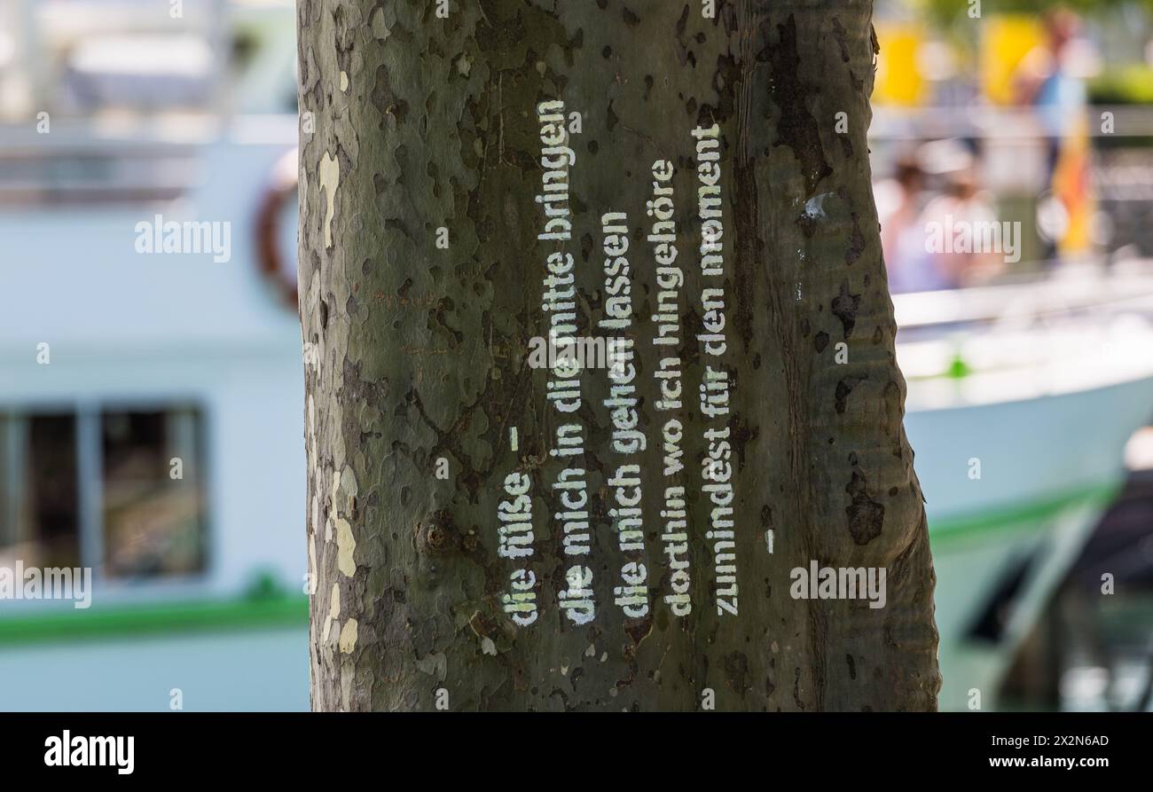 IM Hafen von Konstanz wurde ein Baum mit einem Spruch beschriftet. (Konstanz, Deutschland, 13.07.2022) Banque D'Images