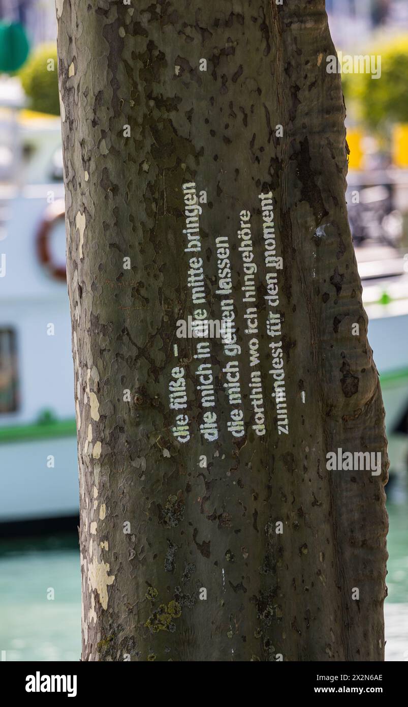 IM Hafen von Konstanz wurde ein Baum mit einem Spruch beschriftet. (Konstanz, Deutschland, 13.07.2022) Banque D'Images