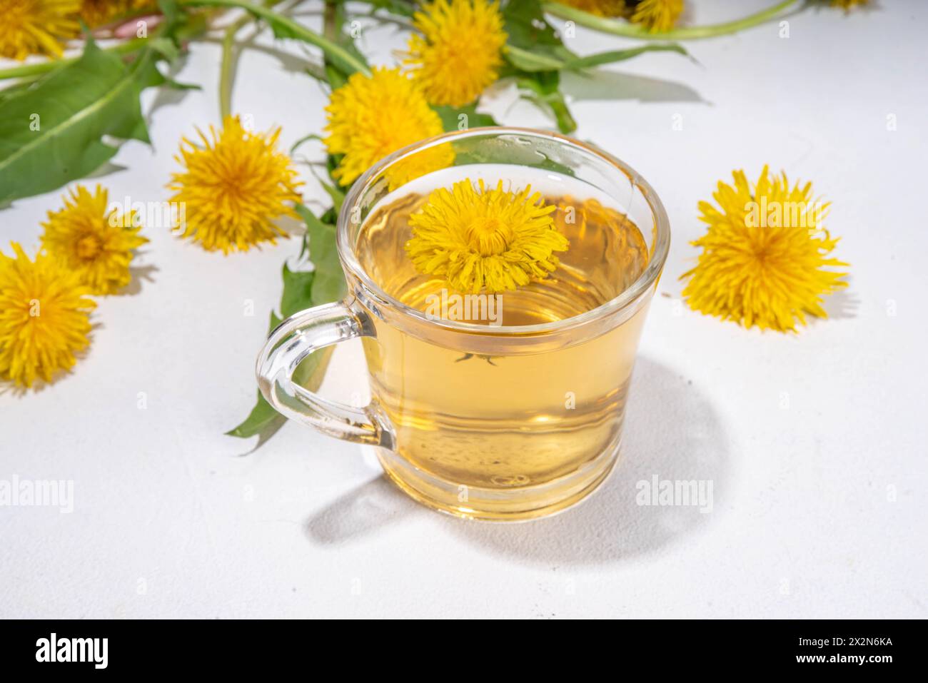 Pissenlits plante fleur thé. Tasse en verre transparent et théière avec boisson de thé chaud doré, sur fond blanc avec des fleurs de pissenlit et des feuilles Banque D'Images
