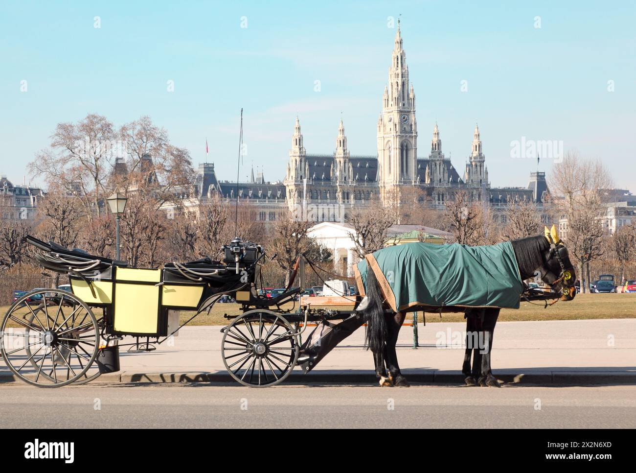 Deux chevaux au cap avec voiturette ouverte près de Wiener Rathaus à Vienne, Autriche Banque D'Images