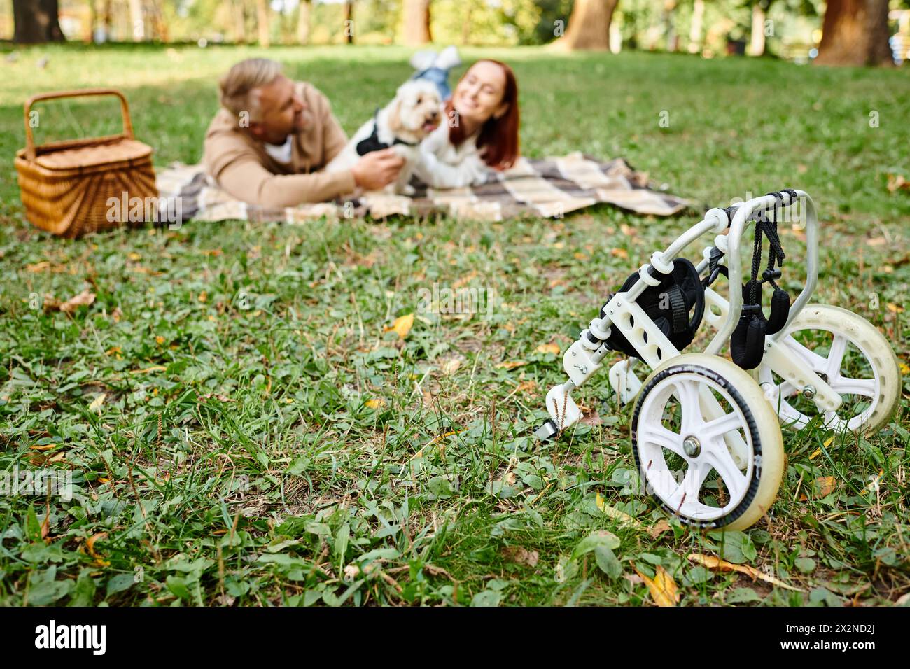 Un homme et une femme se sont allongés dans l'herbe avec une poussette dans un cadre paisible de parc. Banque D'Images