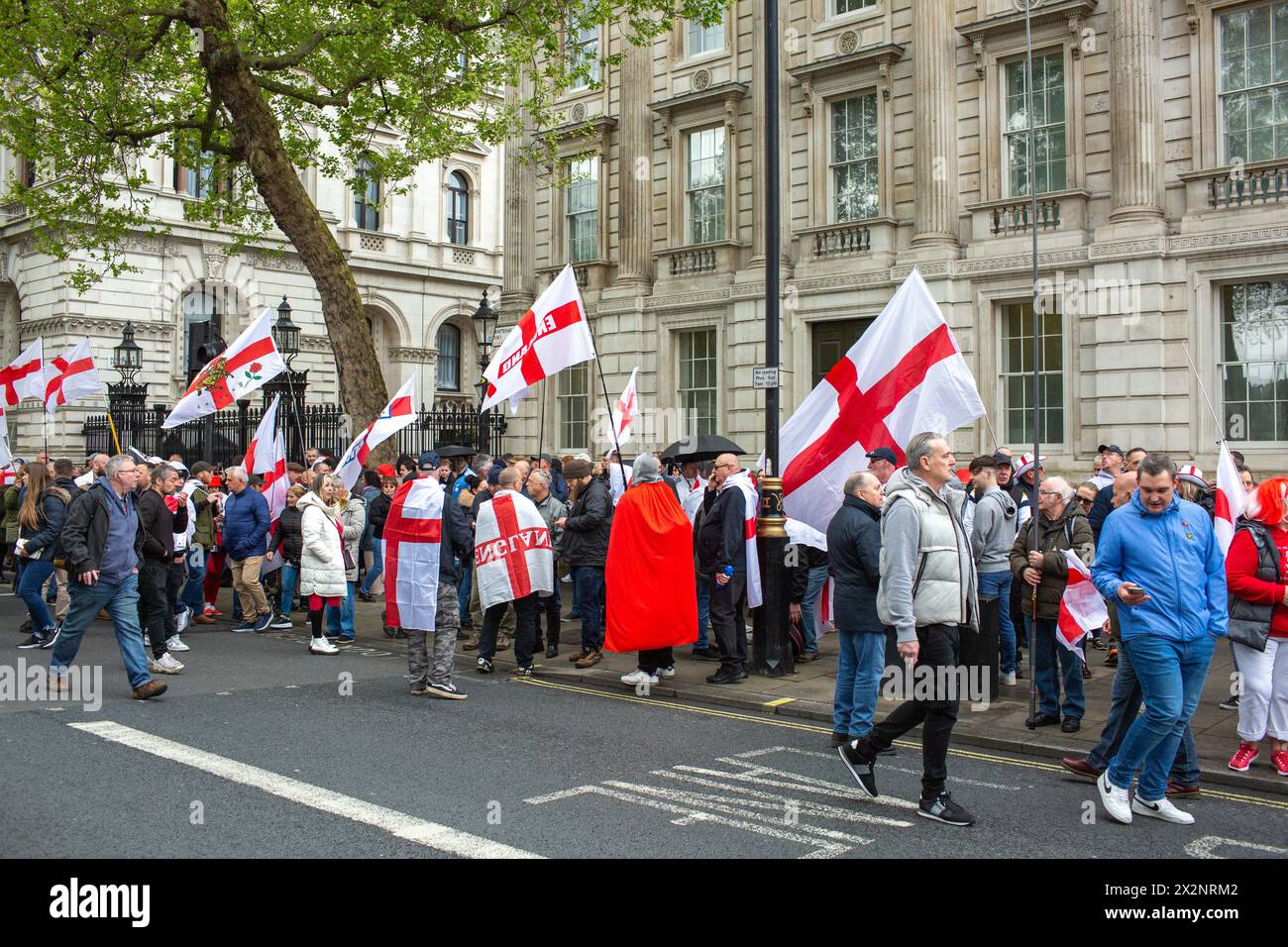 Londres, royaume-uni, 23 avril 2024 la manifestation de droite lors de la marche de la Saint-Georges a paralysé Londres cet après-midi alors que les manifestants Whitehall est bloqué dans les deux sens par une foule énorme tenant des drapeaux anglais cet après-midi crédit : Richard Lincoln/Alamy Live News Banque D'Images