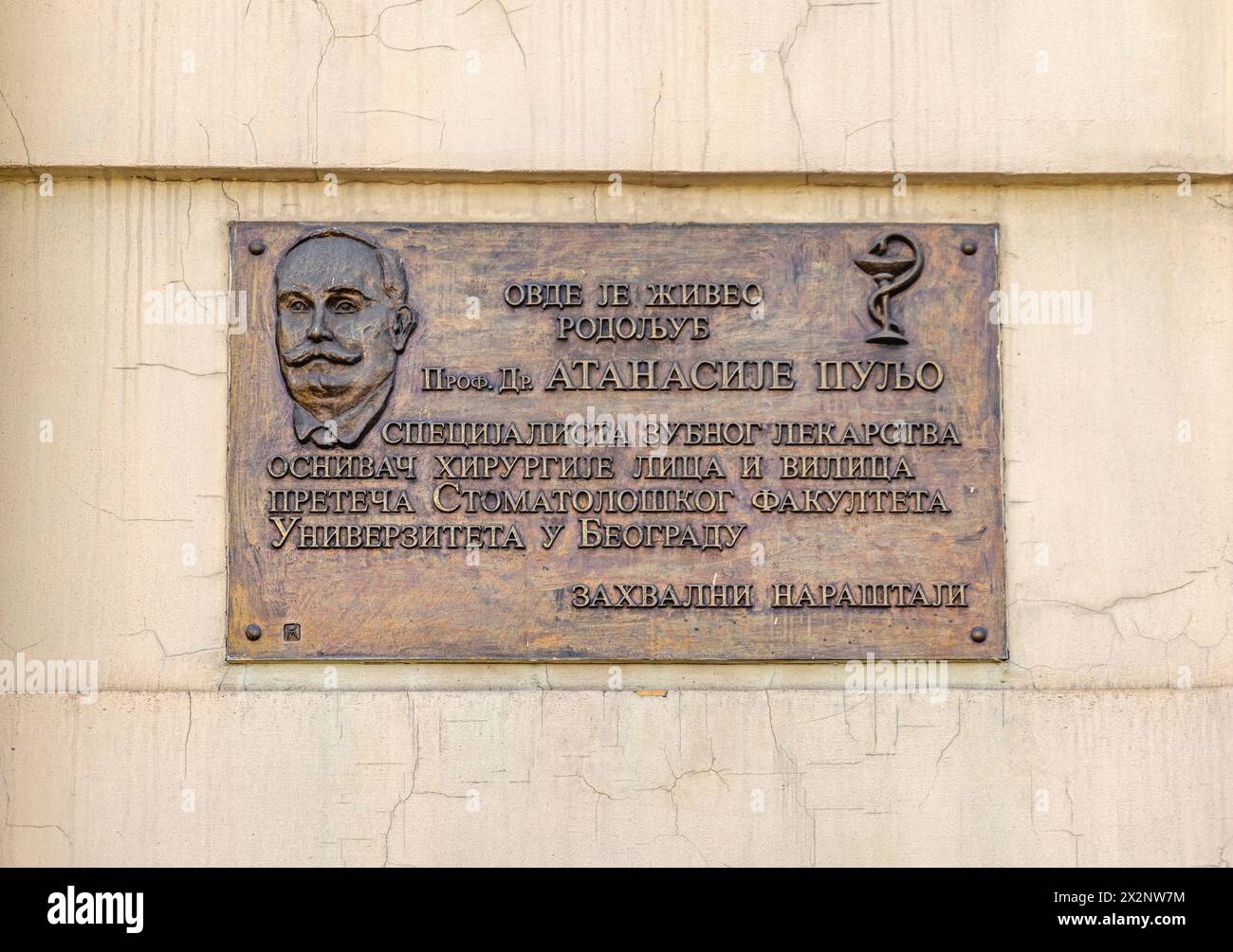 Belgrade, Serbie - 28 février 2024 : 3e plaque commémorative en bronze Prof Dr Atanasije Puljo Pioneer de la dentisterie serbe au mur de la maison dans la capitale. Banque D'Images