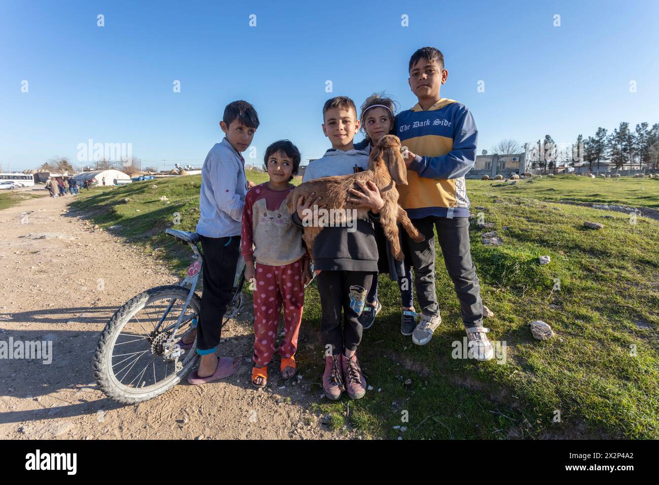Enfants du village tenant un bébé chèvre à Harran, Sanliurfa, Turquie Banque D'Images
