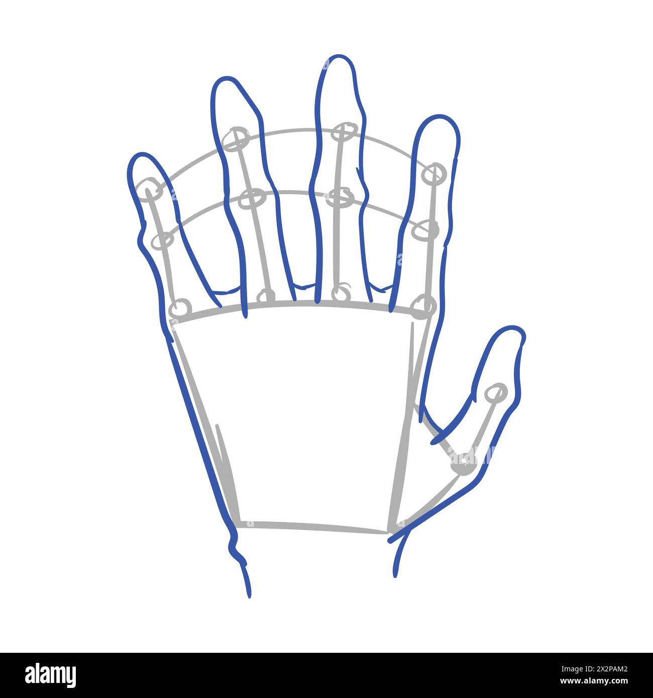 Gribouillage manuel. Dessin vectoriel d'anatomie de la main. Illustration de Vecteur