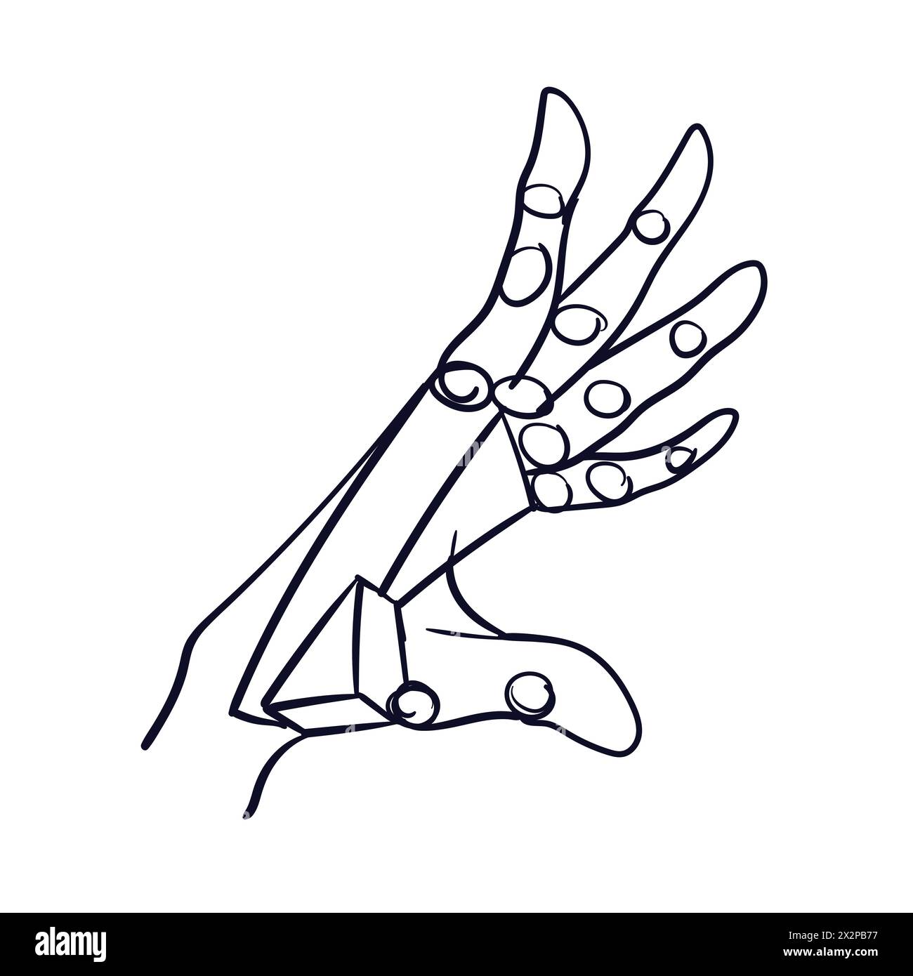 Gribouillage manuel. Dessin vectoriel d'anatomie de la main. Illustration de Vecteur