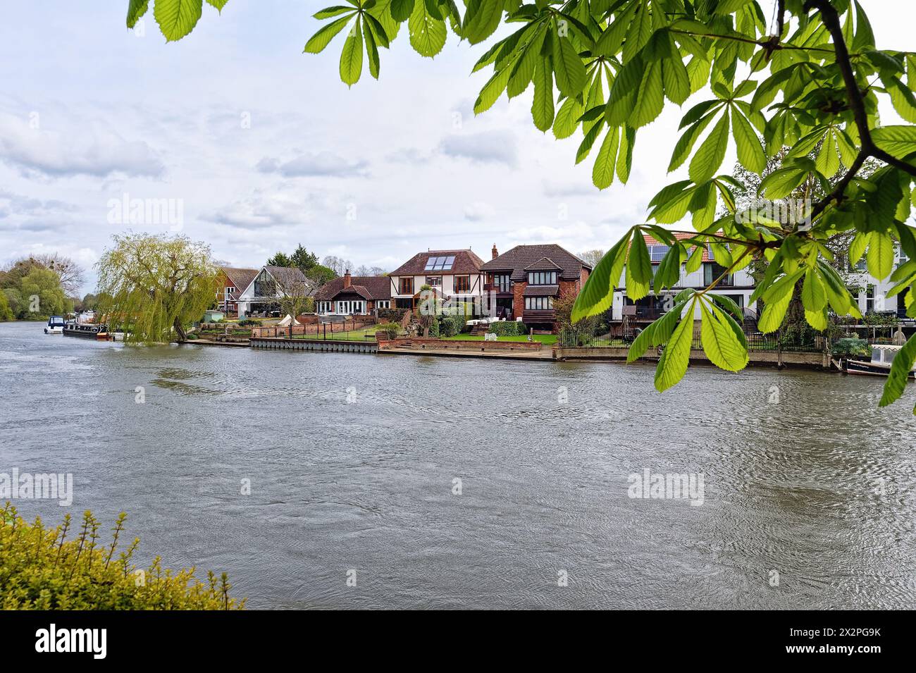 Riverside Houses à Wraysbury vues de l'autre côté de la Tamise à Old Windsor Berkshire Angleterre Royaume-Uni Banque D'Images