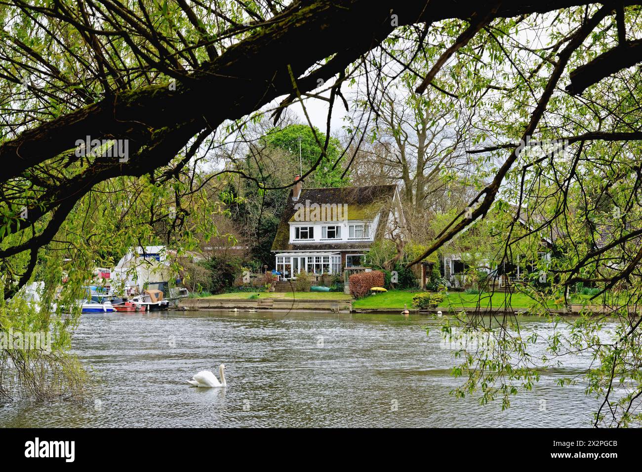 Riverside Houses à Wraysbury vues de l'autre côté de la Tamise à Old Windsor Berkshire Angleterre Royaume-Uni Banque D'Images