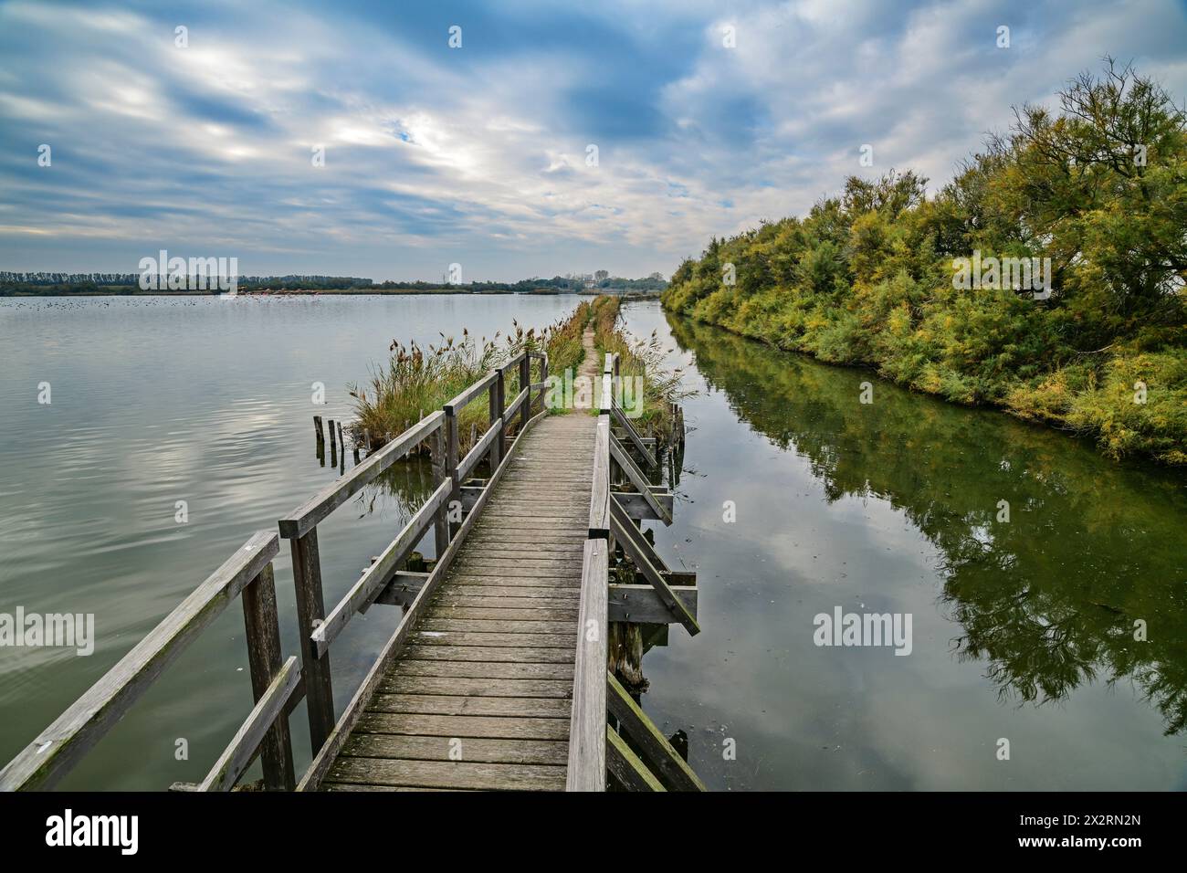 Passerelle au-dessus du delta du Pô près des arbres, Emiglia-Romana, Italie Banque D'Images