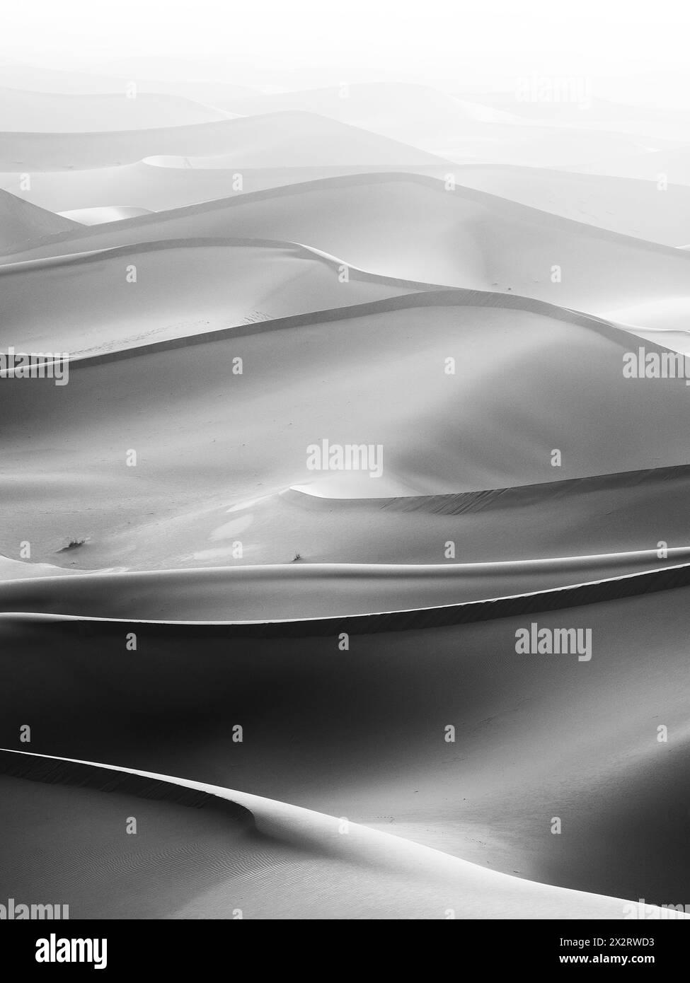 Dunes de sable ERG Chegaga dans le désert du Sahara au Maroc, Afrique du Nord Banque D'Images
