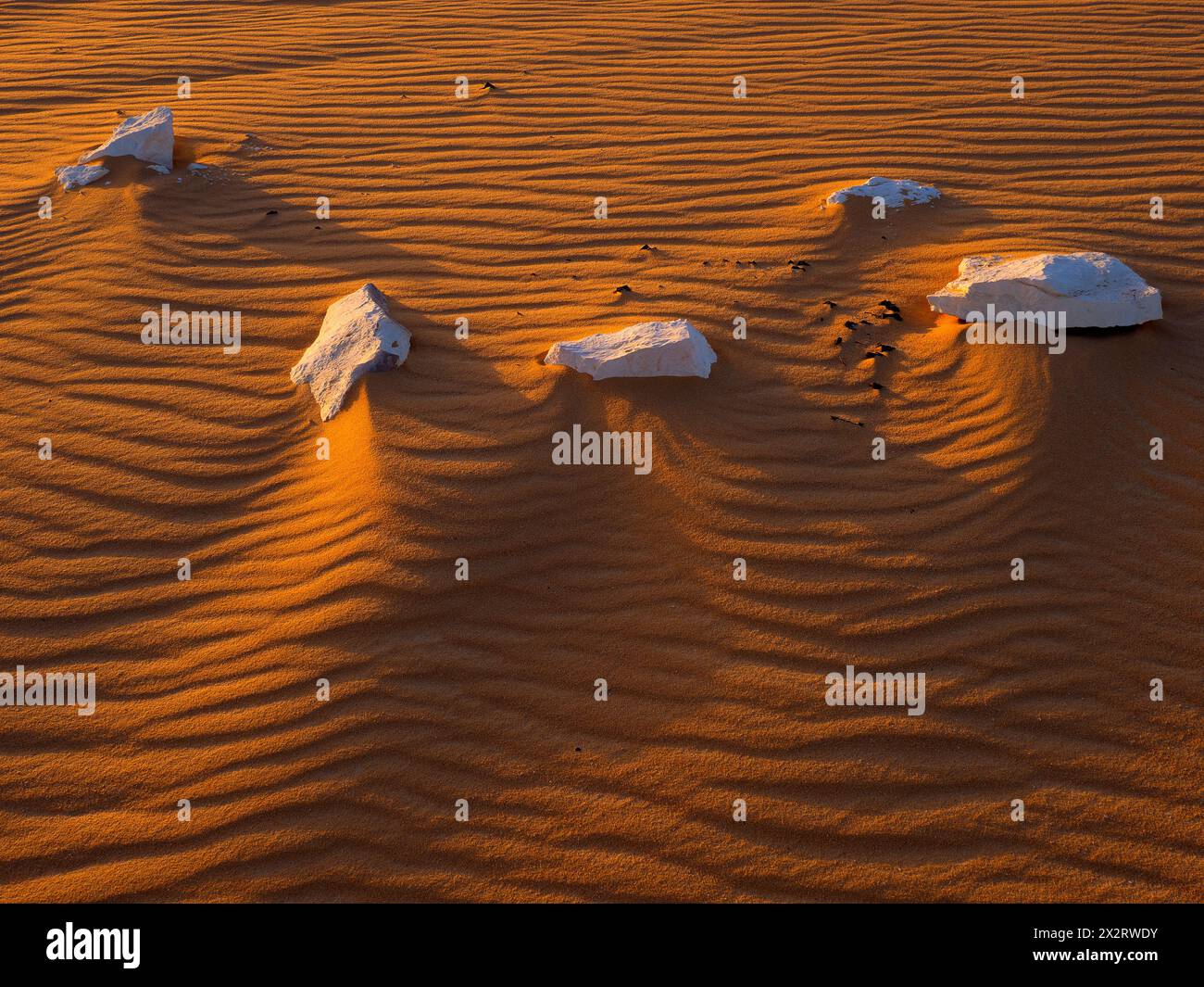 Formations rocheuses calcaires sur sable dans le désert du Sahara au coucher du soleil, Egypte Banque D'Images