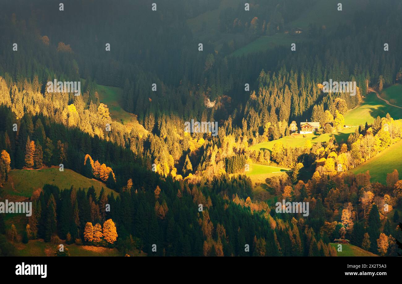 Autriche, Terre de Salzbourg, Flachau, vallée de montagne boisée au crépuscule de l'automne Banque D'Images