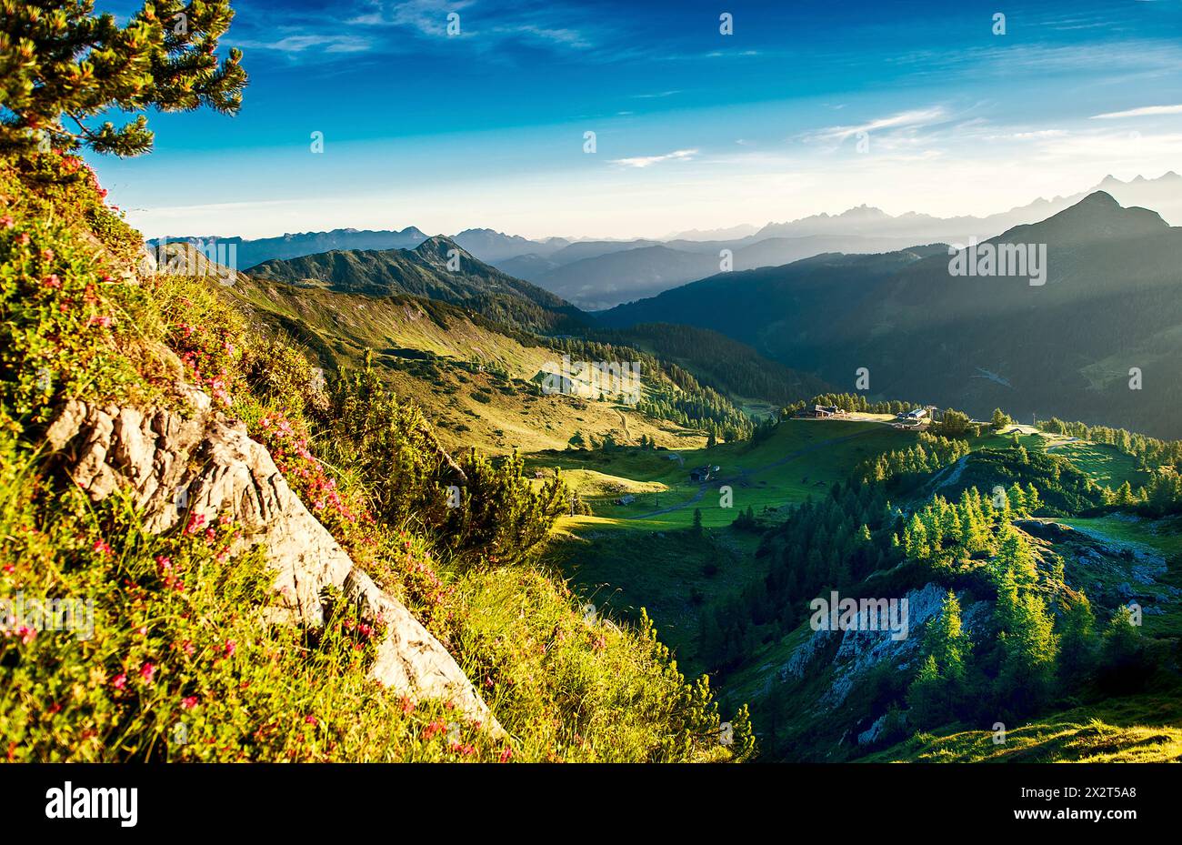 Autriche, Salzburger Land, vallée de montagne verte à l'aube de l'été Banque D'Images