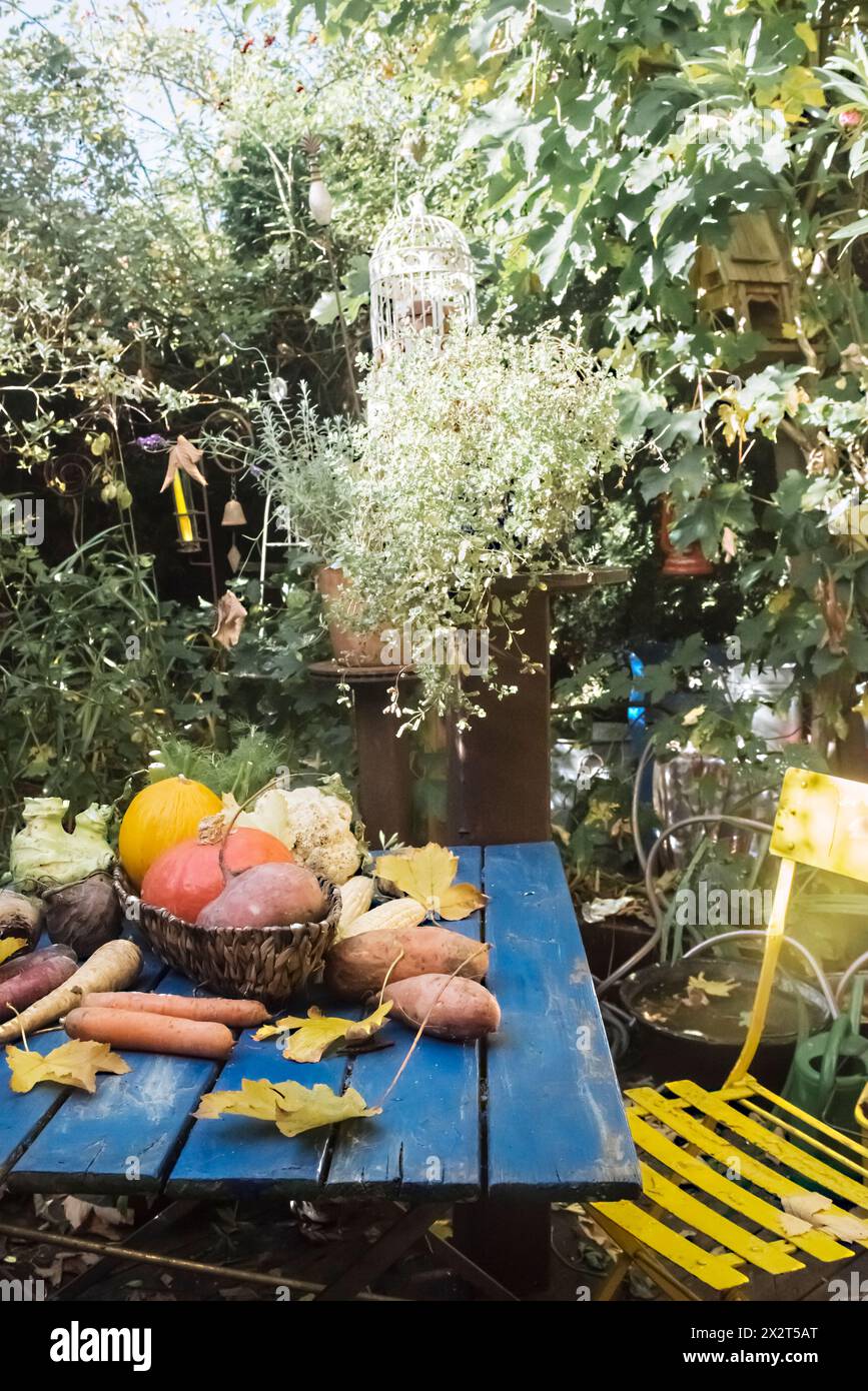Légumes couchés sur la table de jardin Banque D'Images