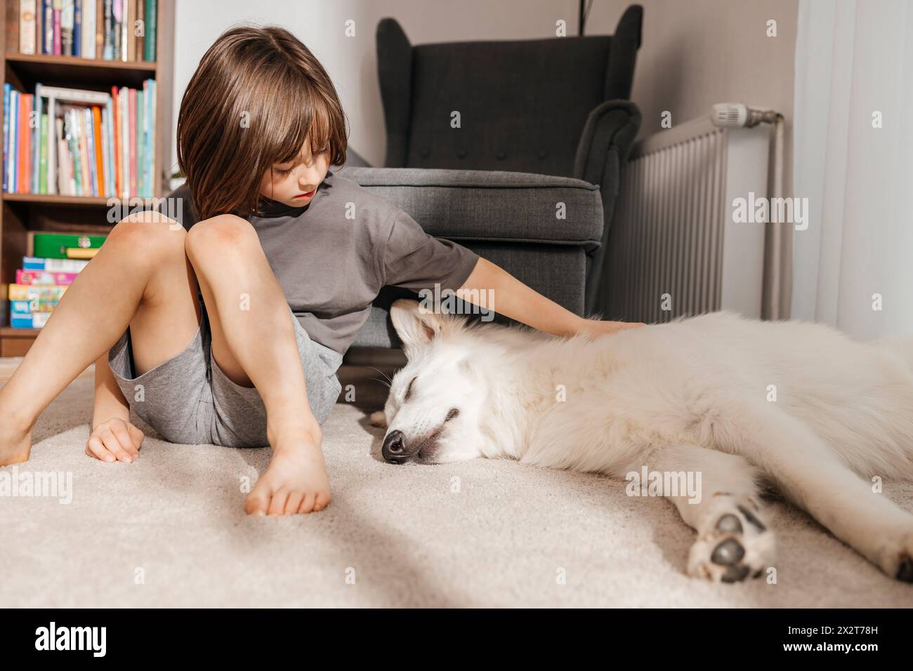 Garçon chien caressant dormant dans le salon à la maison Banque D'Images