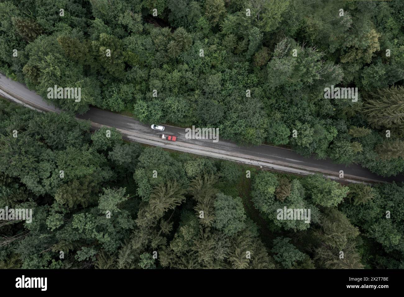 Allemagne, Bavière, Drone vue de voitures sur une autoroute forestière Banque D'Images