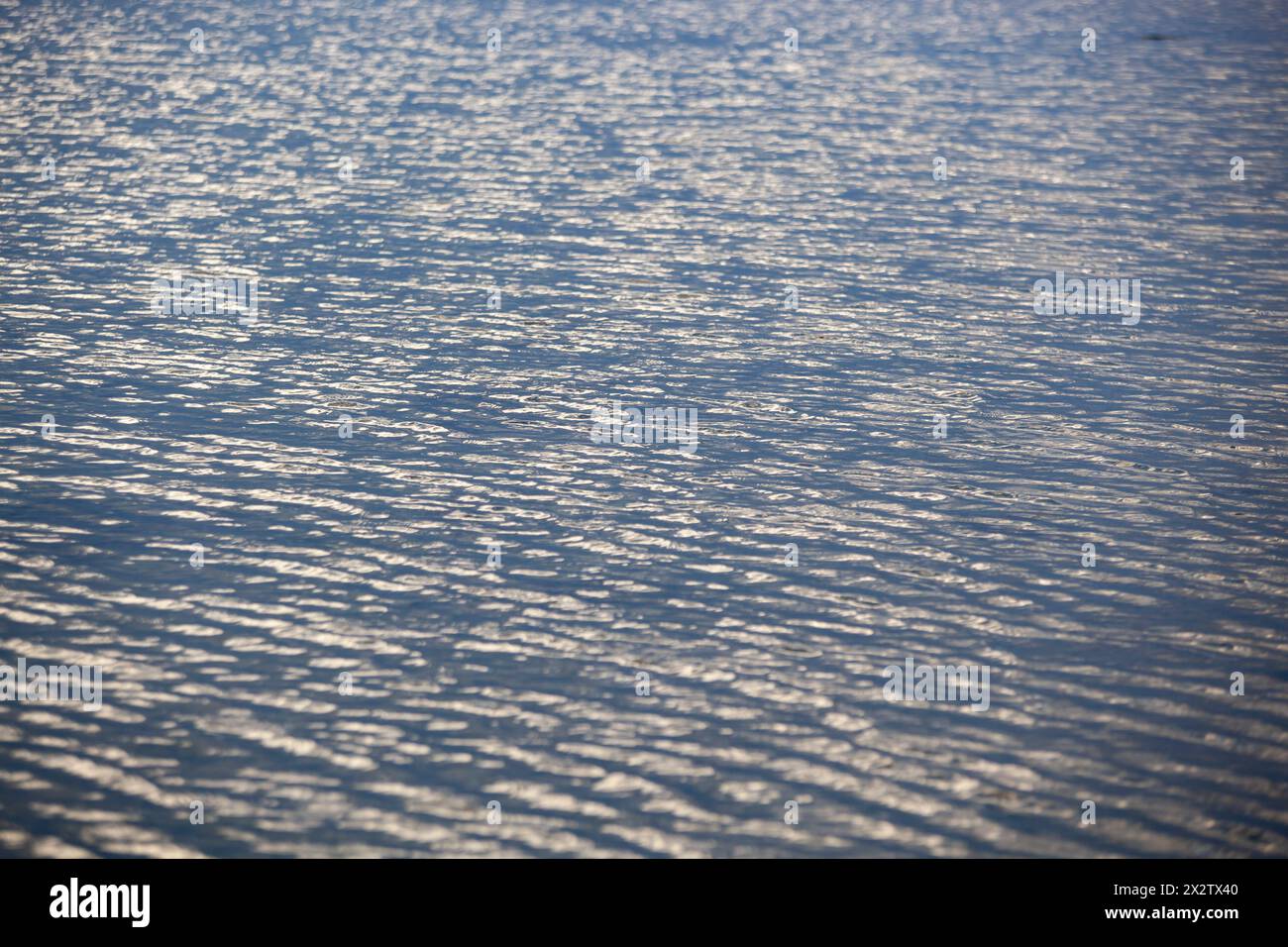 Vue aérienne de la surface de la mer, texture vue à vol d'oiseau. Photo des vagues bleues et de la texture de la surface de l'eau. Fond bleu de mer. Horizontal Banque D'Images