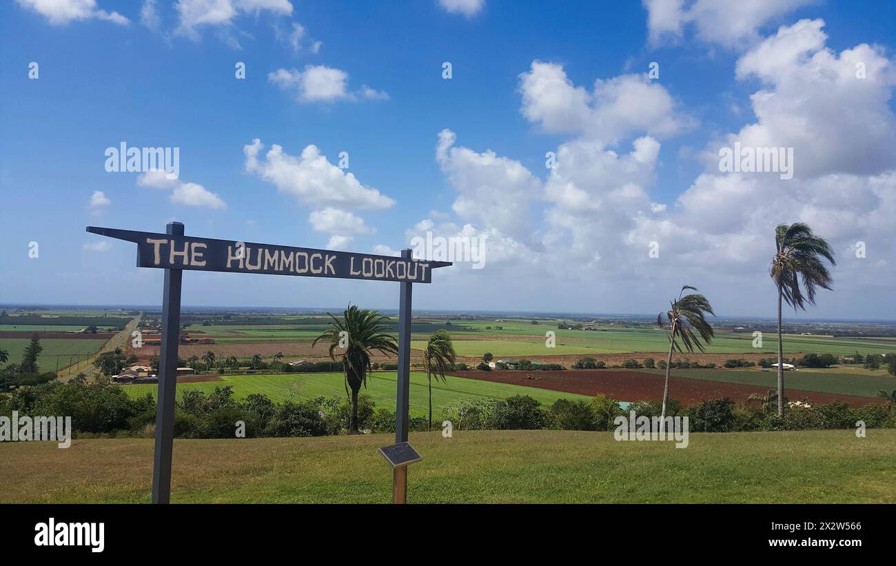 Bundaberg Australia est le centre d'affaires d'une grande zone de culture de canne à sucre, et est bien connu pour son exportation de rhum Bundaberg et est un important Banque D'Images