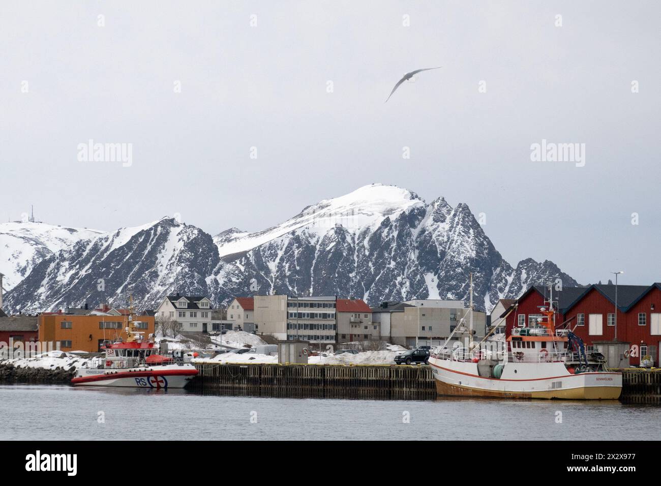 05.04.2023, Andoy, Nordland, Norvège - vue sur le port. 00S230405D233CAROEX.JPG [AUTORISATION DU MODÈLE : NON applicable, AUTORISATION DU PROPRIÉTAIRE : NON (c) images caro Banque D'Images