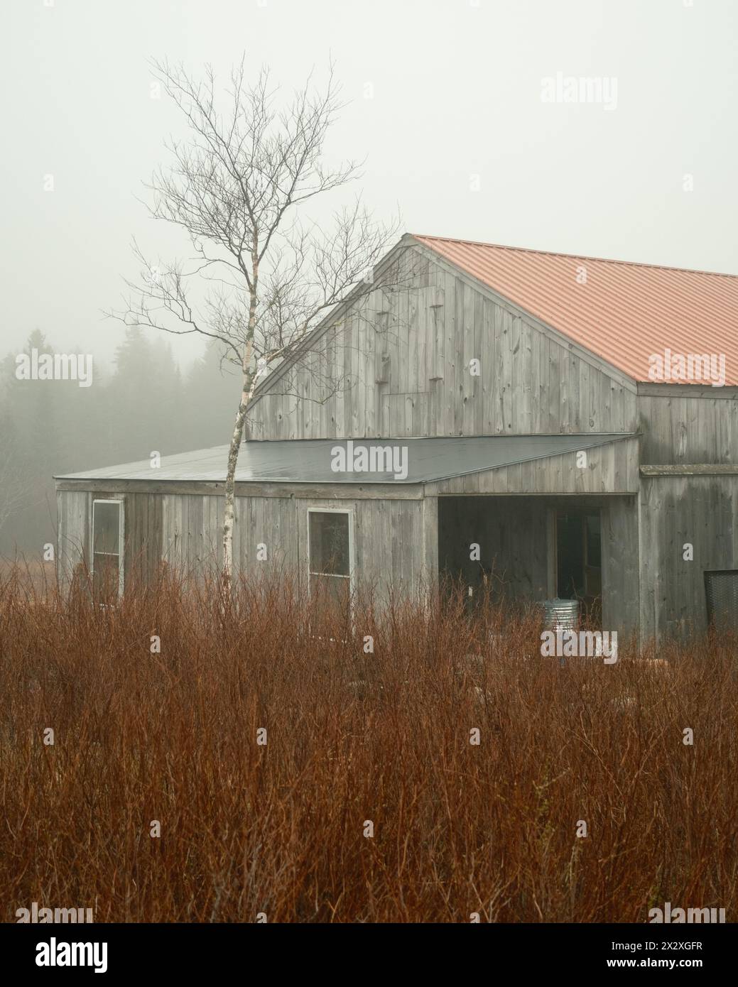 Une grange dans le brouillard sur Beals Island, Maine Banque D'Images