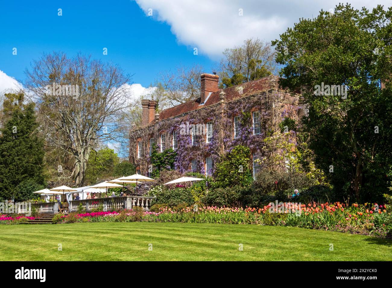 Pashley Manor célèbre pour ses expositions de tulipes, East Sussex, Royaume-Uni Banque D'Images