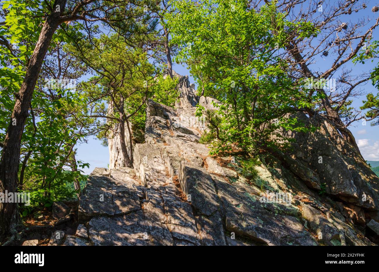 Spruce Knob-Seneca Rocks National Recreation Area, parc à Riverton, Virginie-occidentale, États-Unis Banque D'Images