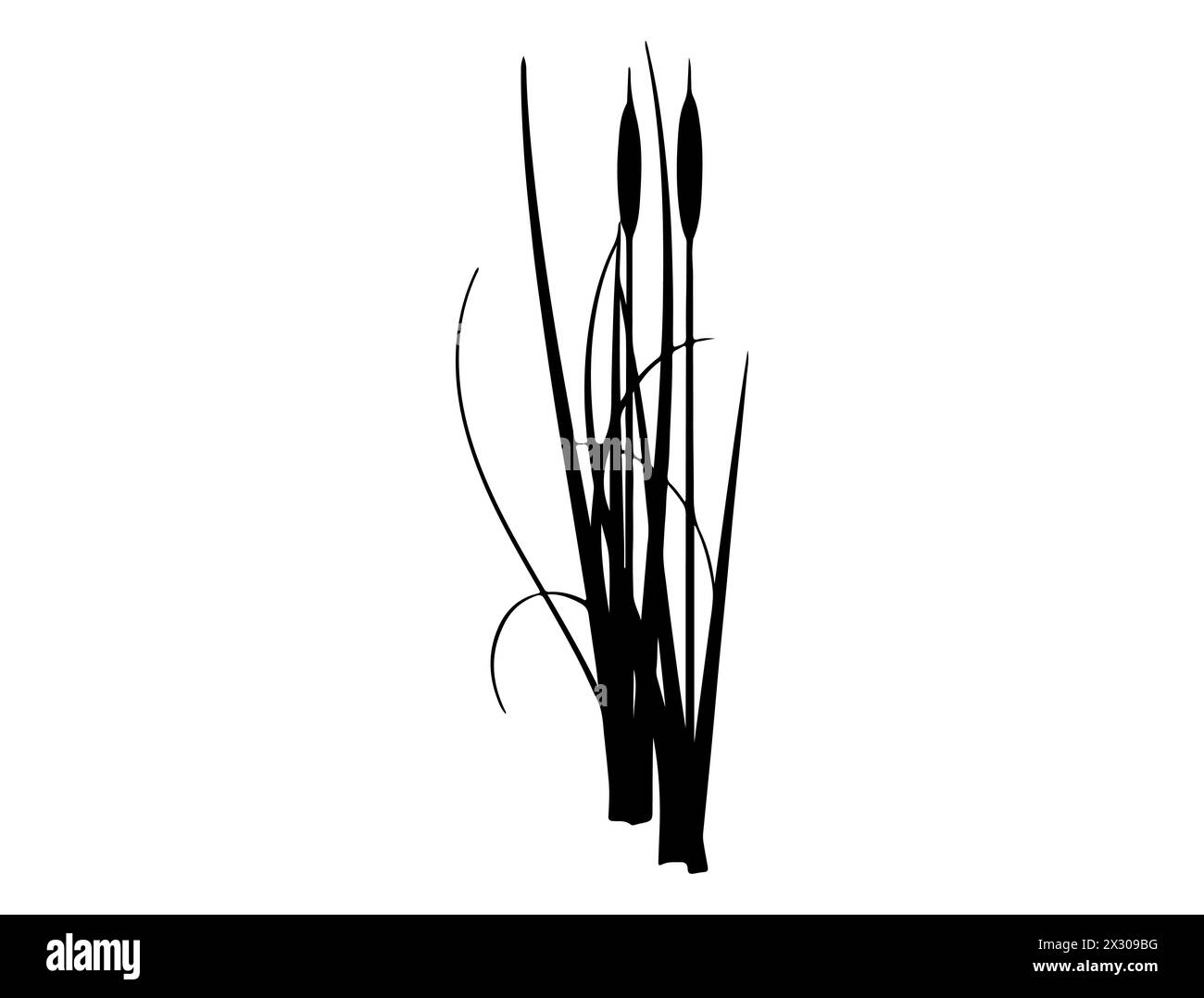 Art vectoriel de silhouette de Cattail Illustration de Vecteur