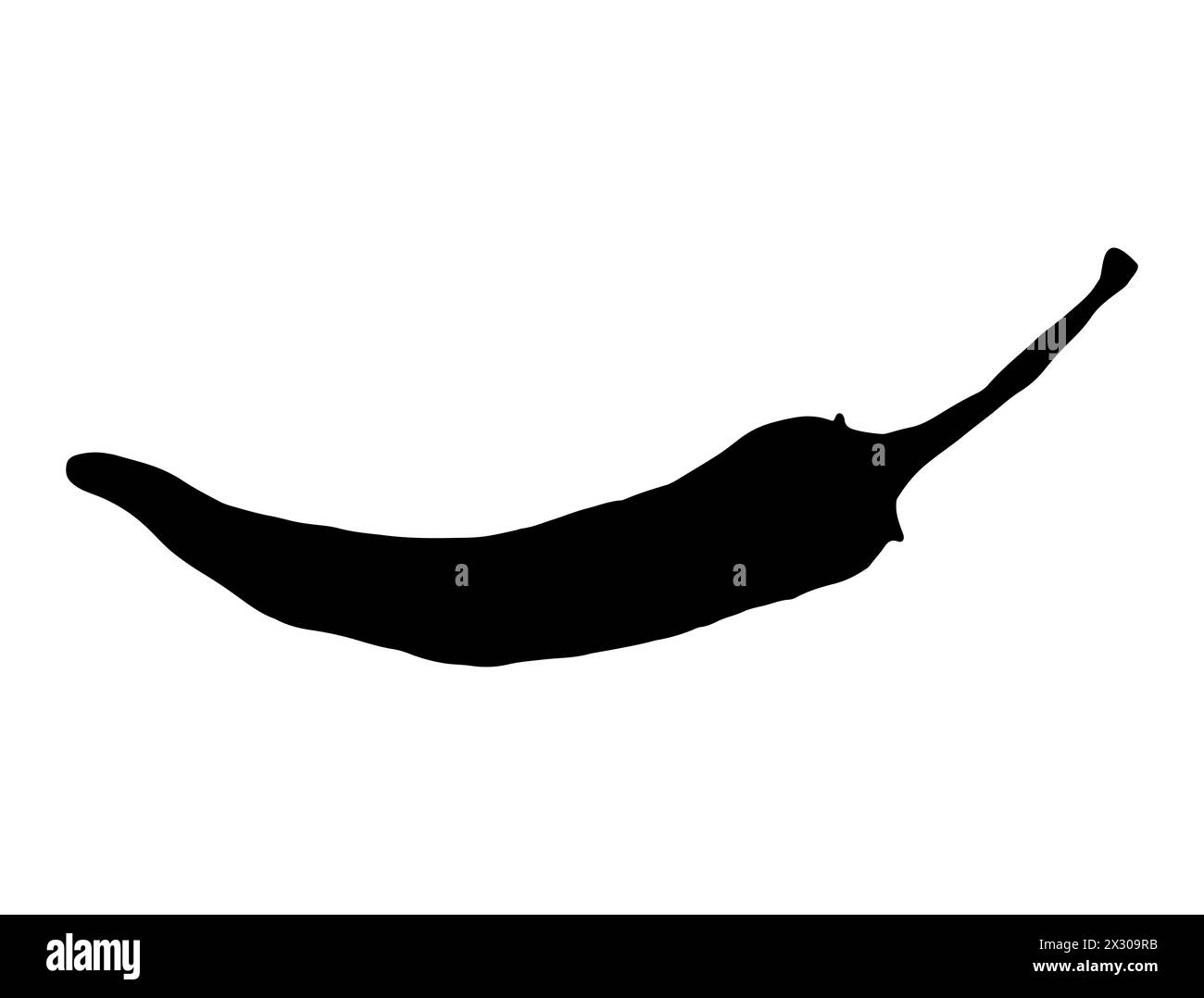 Art vectoriel de silhouette de Chili Illustration de Vecteur