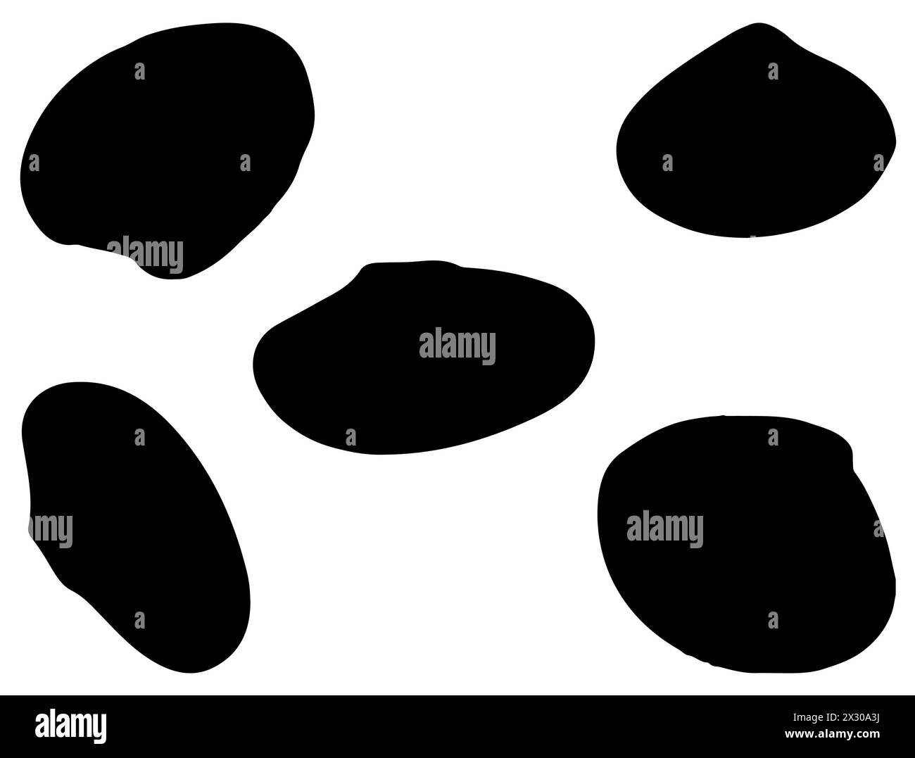 Art vectoriel de silhouette de coquilles de palourdes Illustration de Vecteur