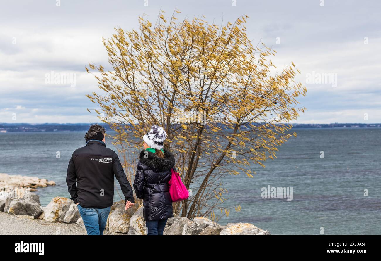 Romanshorn, Schweiz - 20. Février 2022 : einige Menschen geniessen einen Spaziergang am Ufer des Bodensees, trotz starken Windböen. Banque D'Images