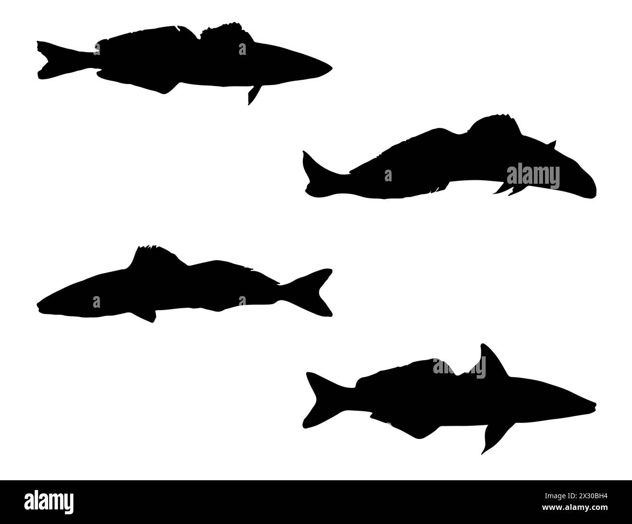 Art vectoriel de silhouette de poisson de roi George Whiting Illustration de Vecteur