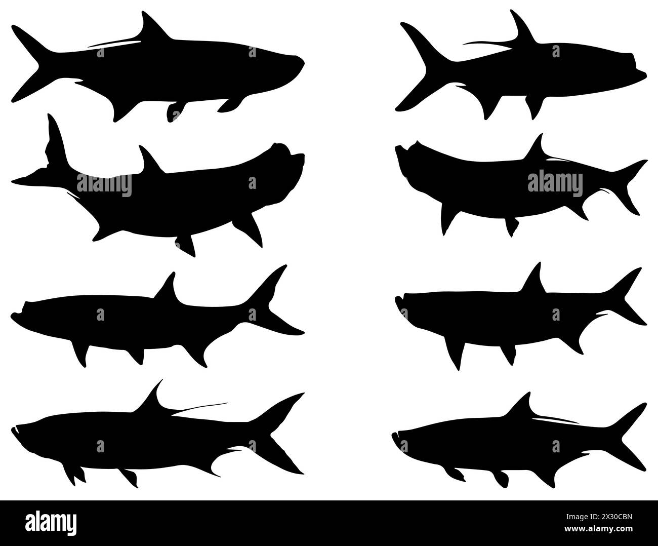 Art vectoriel de silhouette de poisson Tarpon Illustration de Vecteur