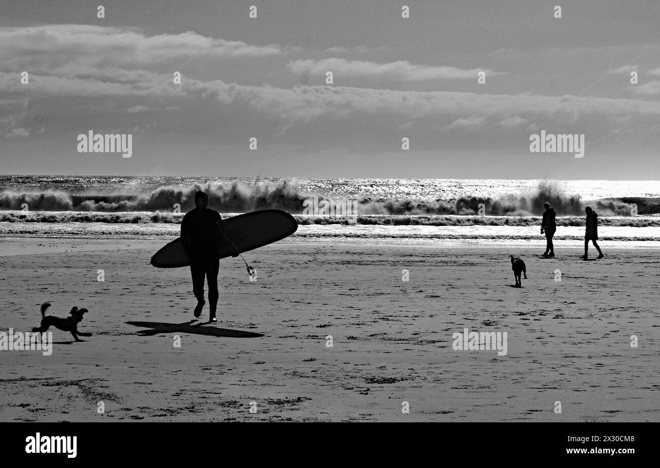 Un matin de printemps, un surfeur se promène sur la plage de la station balnéaire de Seaburn, les chiens et leurs propriétaires se promènent le long de la ligne de marée. Banque D'Images