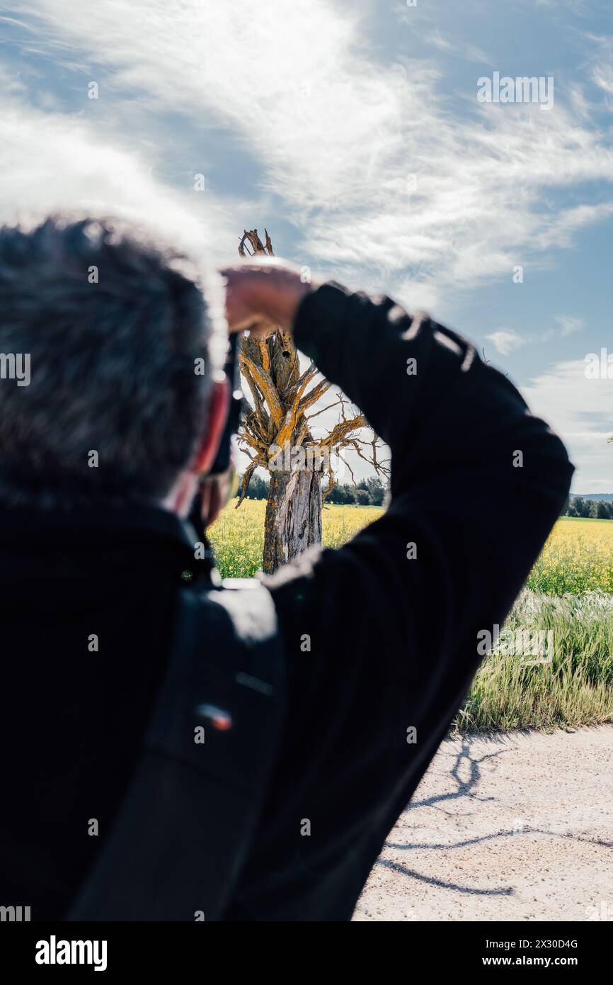 Homme prenant une photo d'un arbre mort dans un champ cultivé Banque D'Images