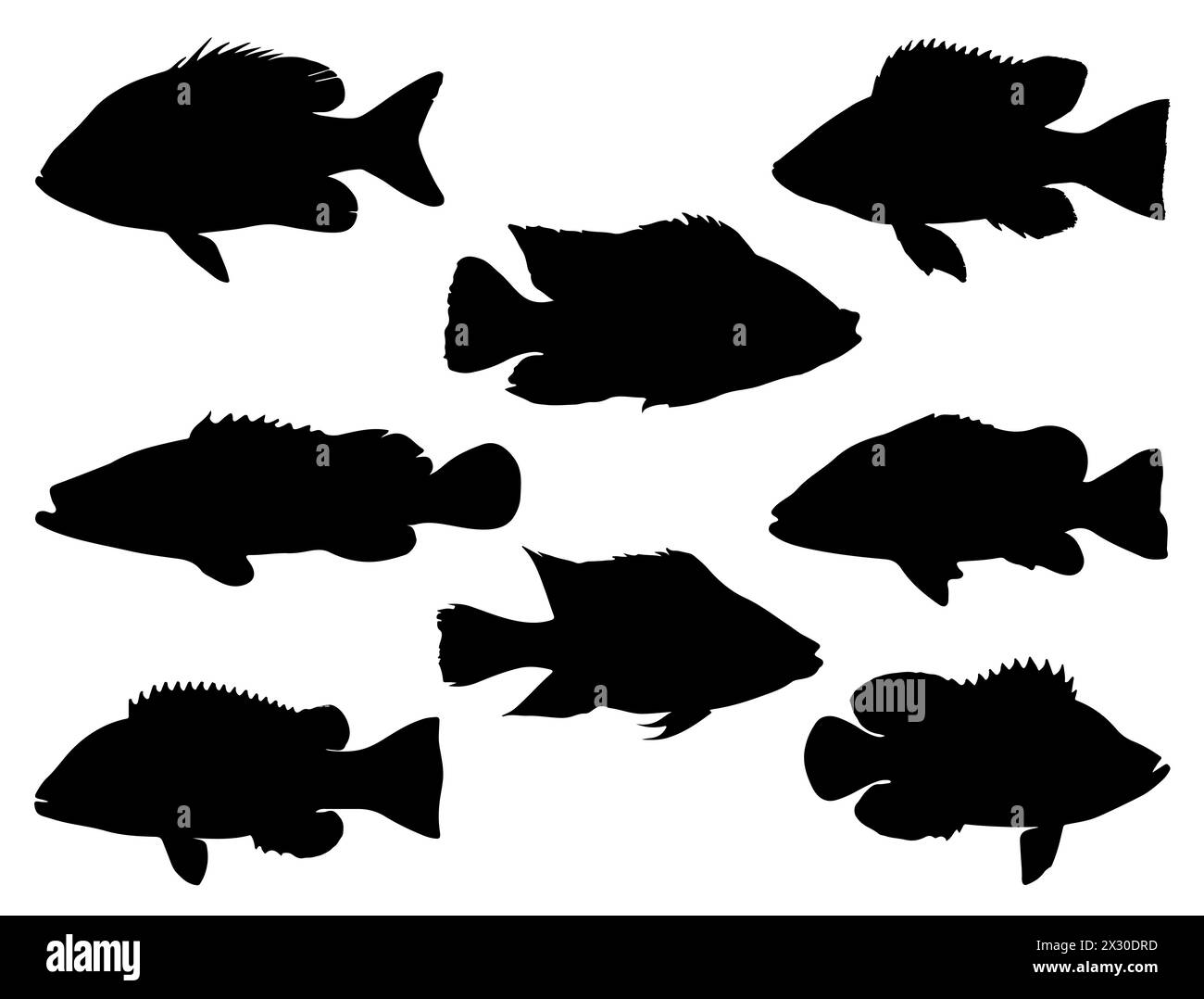 Art vectoriel de silhouette de poisson tilapia Illustration de Vecteur