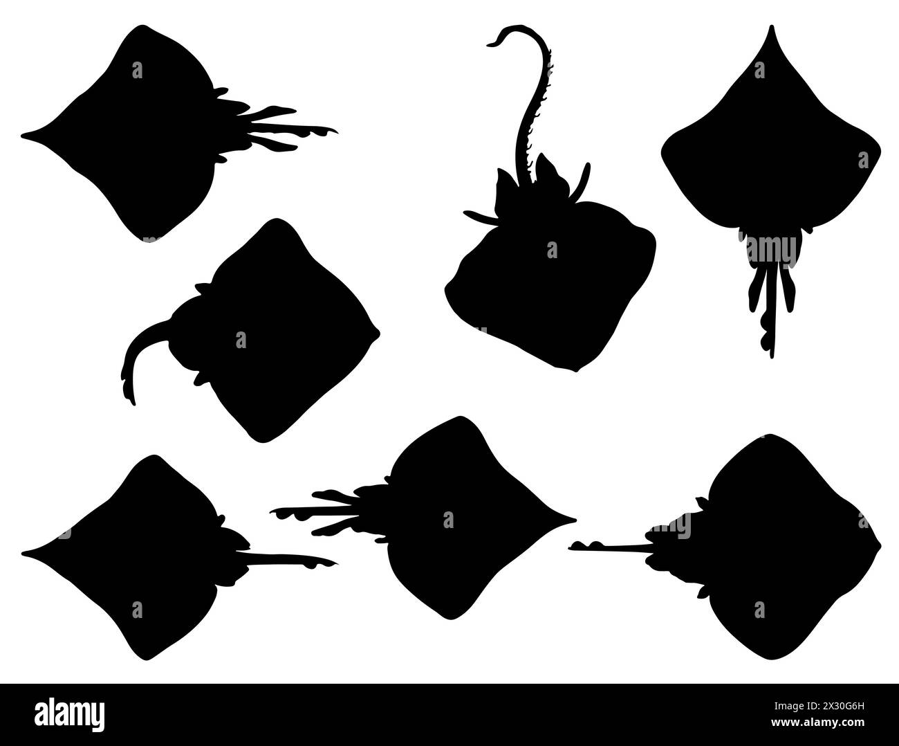 Skates silhouette art vectoriel Illustration de Vecteur