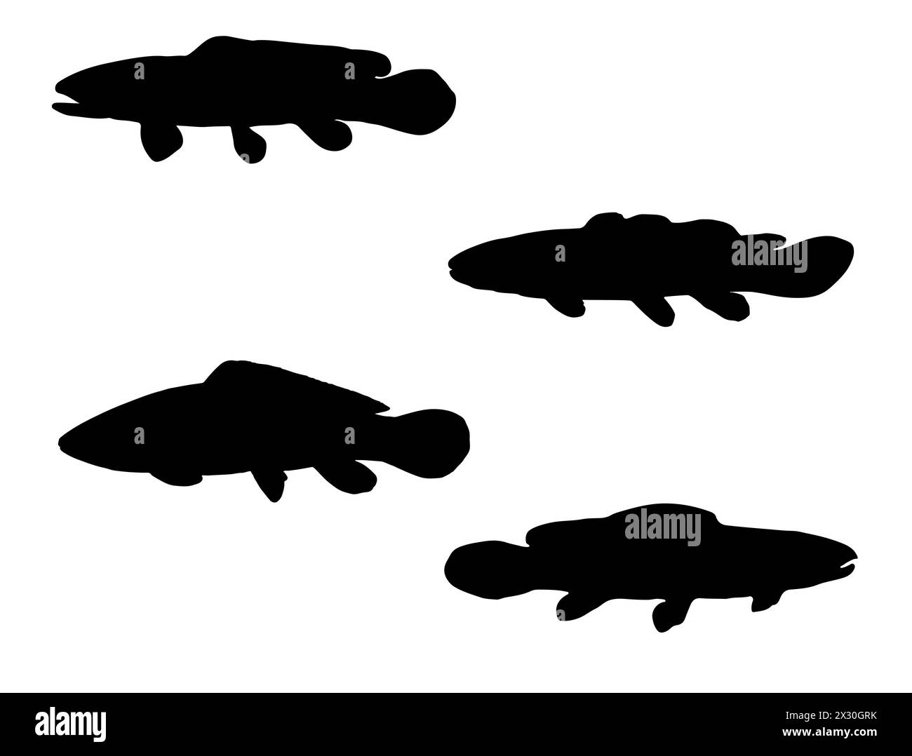 Art vectoriel de silhouette de poisson d'arc Illustration de Vecteur