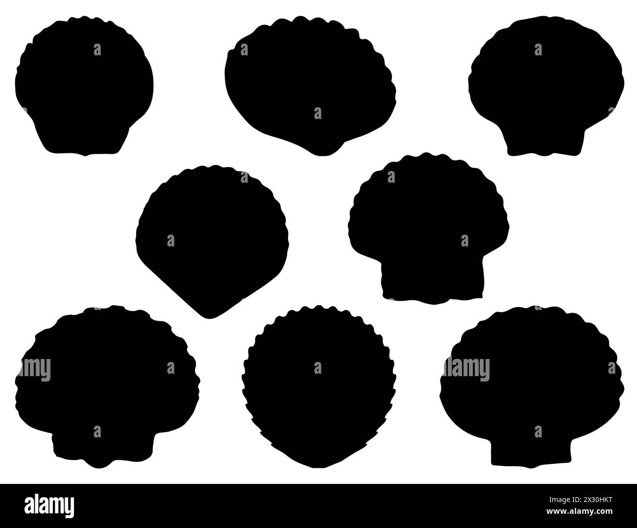 Art vectoriel de silhouette de coquillages Illustration de Vecteur