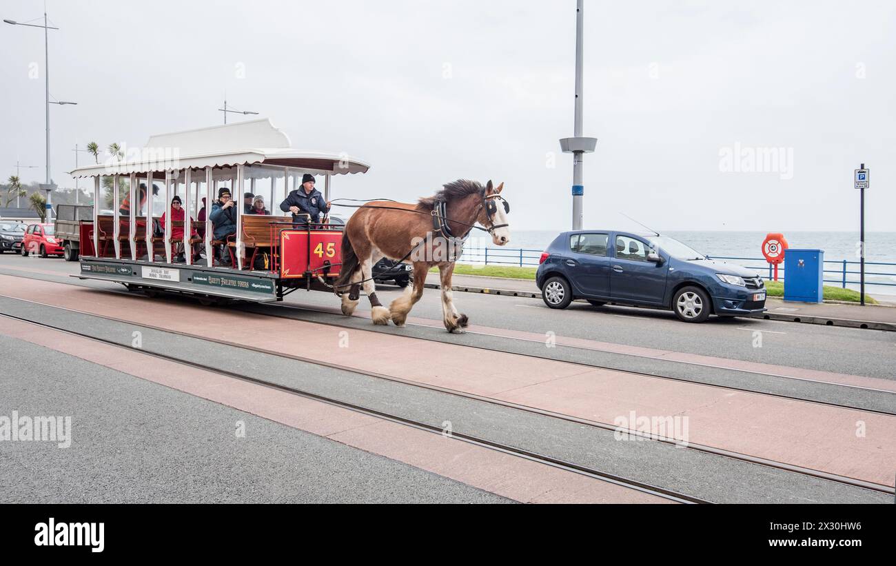 Tramway tiré par des chevaux partant de son départ à l'extrémité du château de Derby à Douglas, et allant vers l'extrémité du théâtre Gaiety de la promenade. Banque D'Images