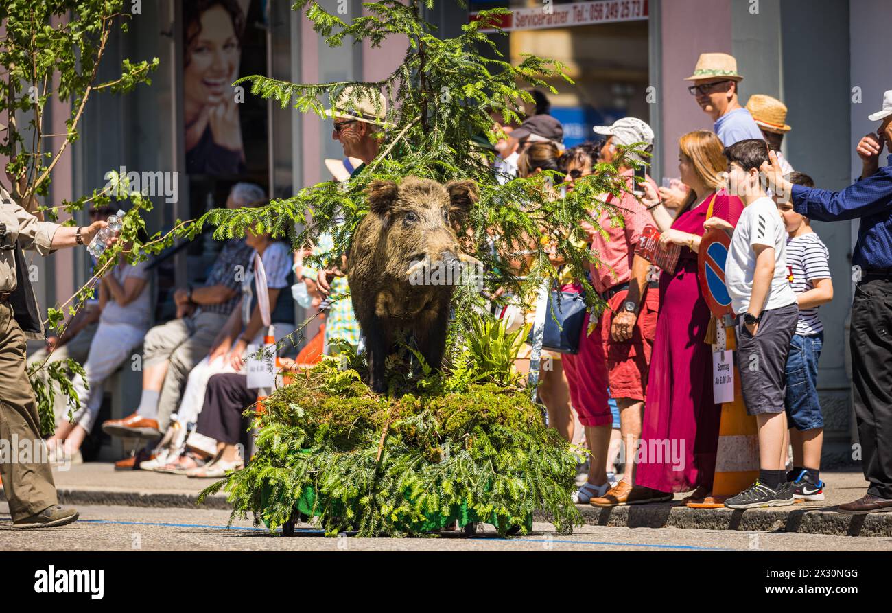 Der Trachtenverein Birmensdorf präsentiert sich unter dem motto 'die Wildsäue sind los' am Festumzug des Jodlerfestes. (Bad Zurzach, Schweiz, 12.06.20 Banque D'Images