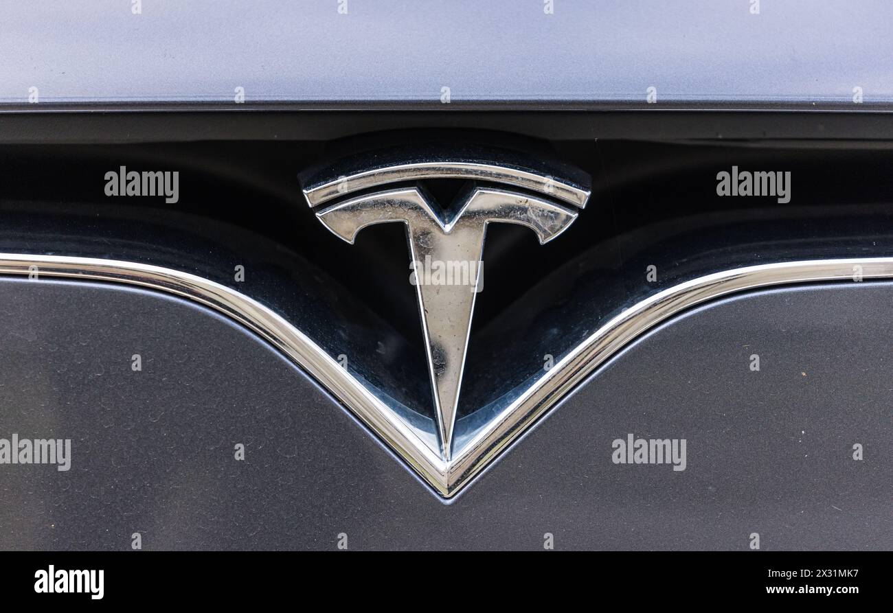 Logo des Elektroautoherstellers Tesla an einem Fahrzeug. (Schaffhausen, Schweiz, 06.11.2022) Banque D'Images